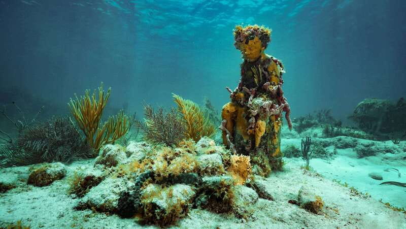 Cancun: Snorkeling Tour at MUSA The Underwater Museum - Key highlights you shouldn’t miss