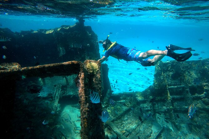Cancun Snorkeling Tour: Swim with Turtles, Reef, Underwater Museum and Shipwreck - Stop 2: El Meco reef, turtles, and the chance to see rays