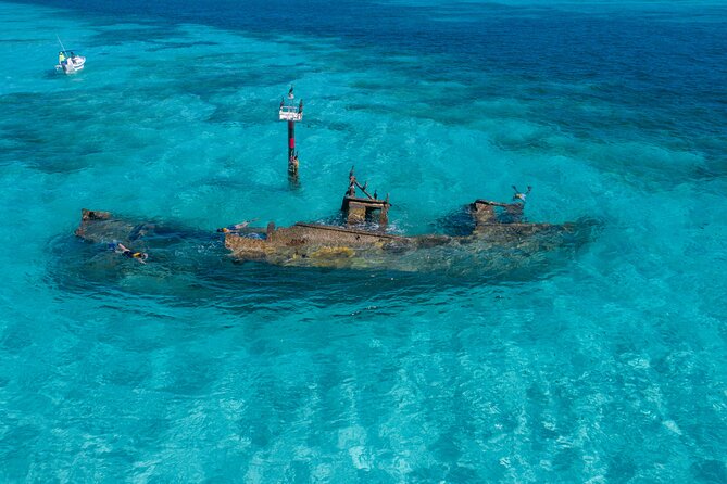 Cancun Snorkeling Tour: Swim with Turtles, Reef, Underwater Museum and Shipwreck - Shipwreck snorkeling: natural pool vibes with coral and fish