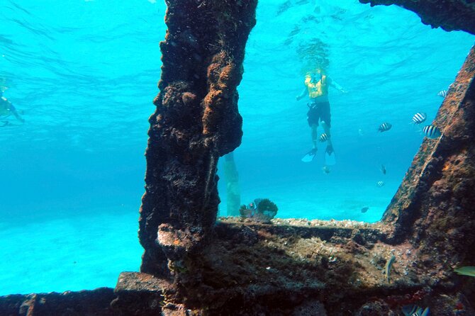 Cancun Snorkeling Tour: Swim with Turtles, Reef, Underwater Museum and Shipwreck - Gear, weights, and comfort: what’s included and what to wear