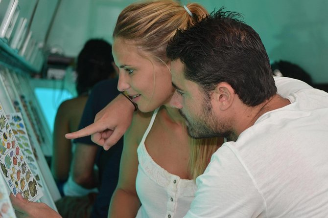 Cancun Submarine and Optional Snorkeling Tour - Punta Nizuc snorkeling option: what changes when you add the water time