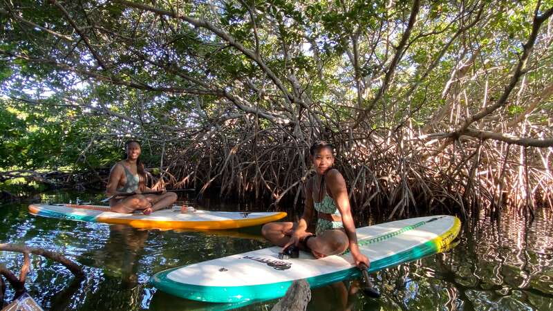 Cancun: Sunrise/Sunset Stand-Up Paddleboarding Tour - Key highlights to look for on this SUP tour