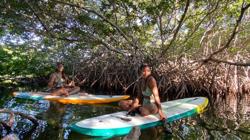 Cancun: Sunrise/Sunset Stand-Up Paddleboarding Tour - What to bring, fitness reality, and who should skip it