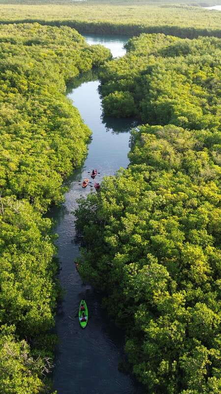 Cancun: Sunset Kayak Experience in the Mangroves - Why Nichupté Lagoon at Sunset Beats Another Cancun Beach Day