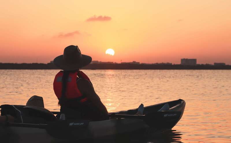 Cancun: Sunset Kayak Experience in the Mangroves - Wildlife Expectations: What You Can See, and How to Improve Your Odds