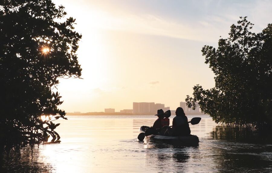 Cancun: Sunset Kayak Experience in the Mangroves - The First 45 Minutes on the Nichupté Lagoon: Guided Paddling and Wildlife Scanning
