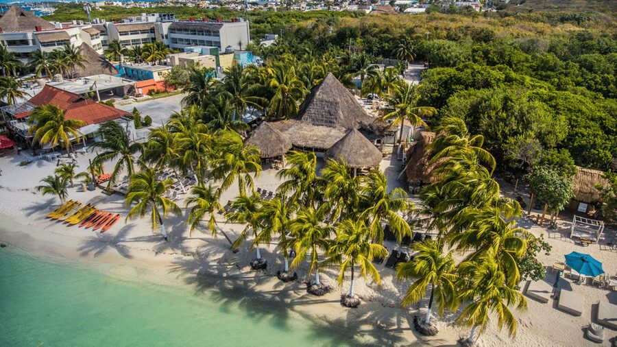 Cancún: Swim with Whale Sharks & Playa Norte Beach - Starting at the Cancun Marina: Coffee, Gear, and a Safety Read