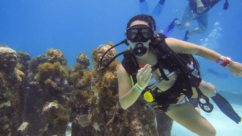 Cancún: Underwater Museum & Reef for Certified Scuba Divers - Should You Book This Cancun Underwater Museum + Reef Trip?
