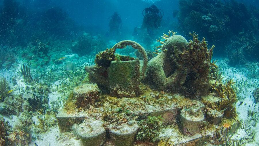 Cancún: Underwater Museum & Reef for Certified Scuba Divers - Price and Fees: Is It Worth the $98?