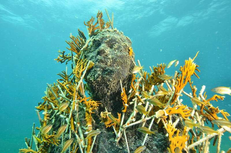 Cancún: Underwater Museum & Reef for Certified Scuba Divers - MUSA in Plain Terms: What You’re Actually Seeing