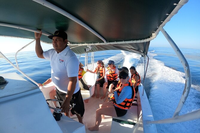 Cancun Whale Shark Experience with Snorkel & Transportation - Price and Extras: What You’ll Pay Beyond the $210
