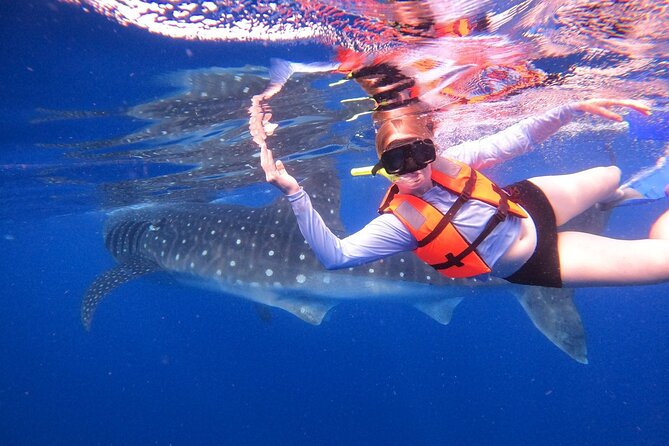 Cancun Whale Shark Experience with Snorkel & Transportation - Getting There From Cancun: Pickup, Start Time, and the Speedboat Reality