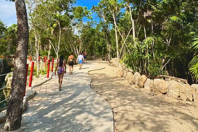 Casa Tortugas cenotes, Tulum Mayan site and Madre Naturaleza tour - Lunch, Water, and What You’ll Actually Eat During the Day
