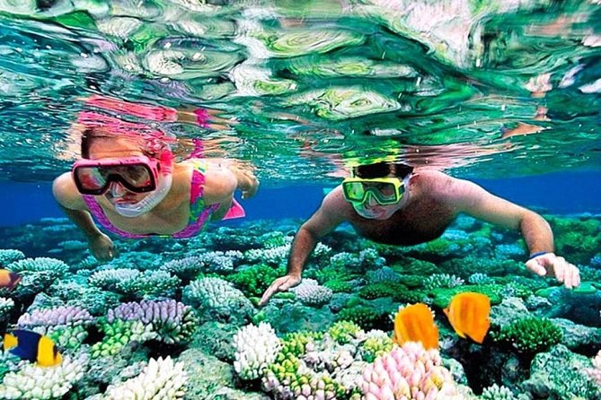 Catamaran adventure to Isla Mujeres with Snorkel,Buffet,Open Bar and Beach Club - Snorkeling and Spinnaker Photos: The Weather Will Call the Shots