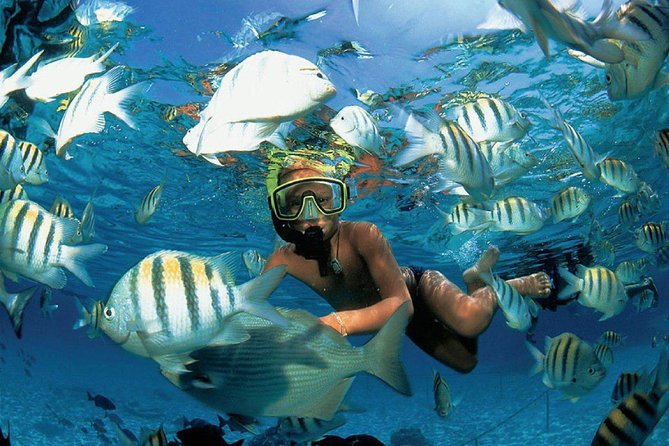 Catamaran adventure to Isla Mujeres with Snorkel,Buffet,Open Bar and Beach Club - Getting From Cancun to the Island (and What the Morning Feels Like)