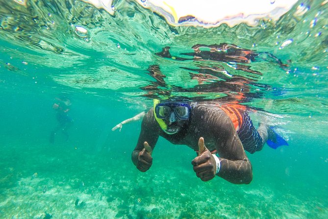 Catamaran Group Sightseeing, Snorkeling Tour Isla Mujeres - Stop 1: El Meco (National Reef Park) and the submerged sculptures