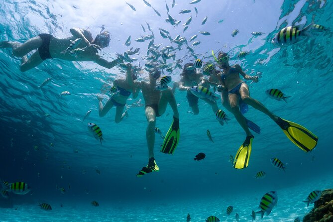 Catamaran Isla Mujeres Tour with Hotel Pick Up included - Price and value: what $89 really buys (and what costs extra)