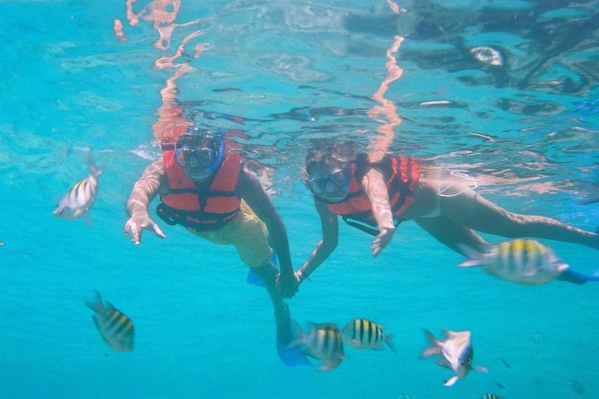 Catamaran Isla Mujeres Tour with Hotel Pick Up included - Stop on Isla Mujeres: snorkeling time and marine-life viewing
