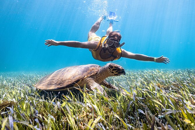 Catamaran Sailing to Isla Mujeres From Cancun - The Reef Stop: Snorkeling in a Federal Natural Reserve Area