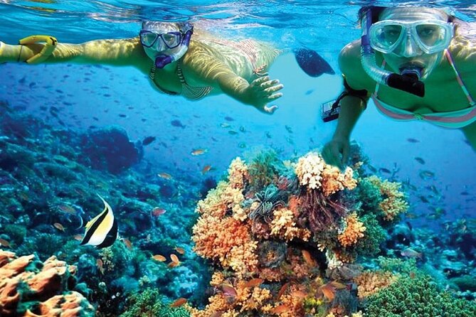 Catamaran Sailing to Isla Mujeres with Snorkeling, Lunch & Open Bar included - Money matters: the $19 price and the fees that can surprise you
