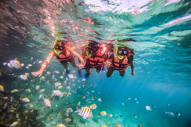 CATAMARAN to Isla Mujeres, Snorkel & Beach Club by Xcaret - Catamaran to Isla Mujeres: a full day with multiple “beats”