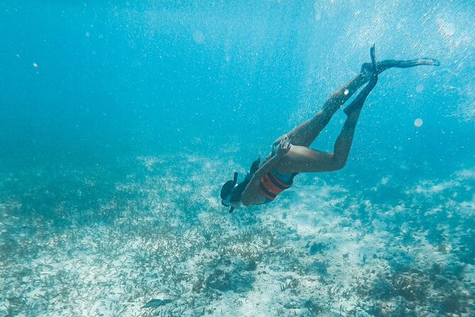 Catamaran Tour to Isla Mujeres Cancun - Price and value: $29.90 plus a mandatory 49 USD fee