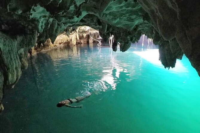 Cenote Cancun Experience with Transportation Included & Lunch - 3 Hours Cenote Swimming: Water Time, Wildlife, and What to Expect