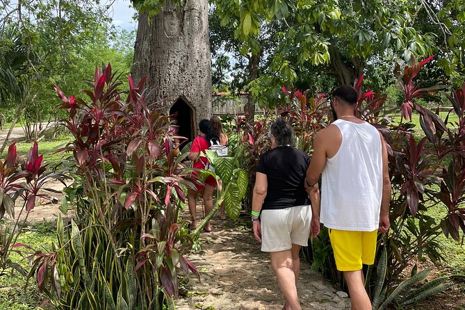 Chichen Itza and Mayan Traditions - Kiichpam Xunaan: open cenote swim, then a cave cenote
