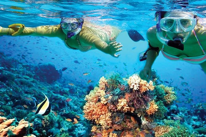 Chichen Itza Early Access & Catamaran to Isla Mujeres - Isla Mujeres and Playa Norte: how to spend your free time well