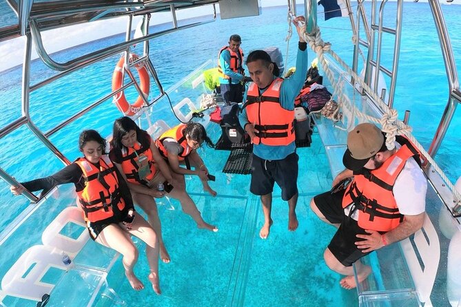 Clearboat in Cancun + Refreshments !! - Marine Life You Can Expect to See (and How to Handle Expectations)