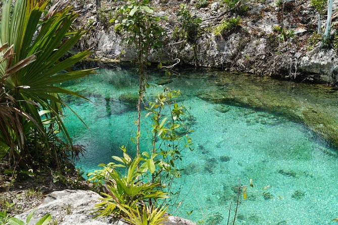 Coba, Tulum, Cenote and Mayan Village All Inclusive Tour - Stop 1: Zona Arqueológica de Coba and the 42-meter pyramid