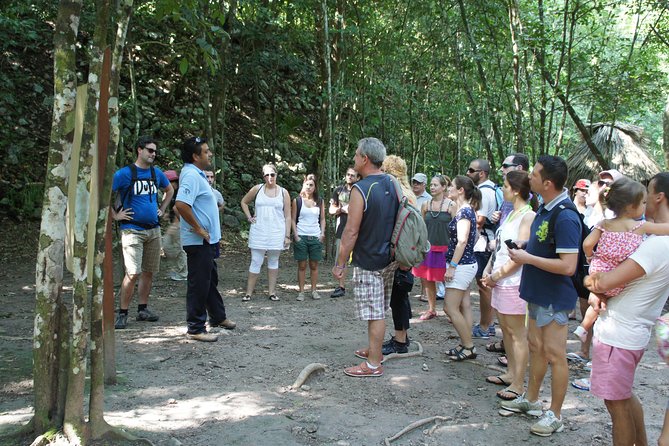 Coba, Tulum, Cenote and Mayan Village All Inclusive Tour - Guides and group size: when things go right (and when they feel tight)