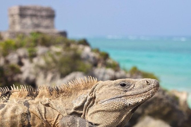 Coba, Tulum & Cenote swim - Hotel pickup and guided ruins: why this is an easy win