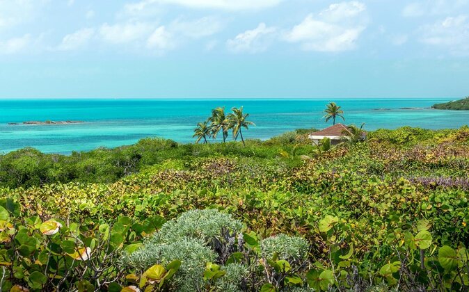 Contoy Caribbean Adventure! Round Transportation from Cancun - Key points before you go