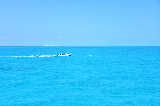 Contoy Caribbean Adventure! Round Transportation from Cancun - Guided tour time on Contoy: What you’re actually buying
