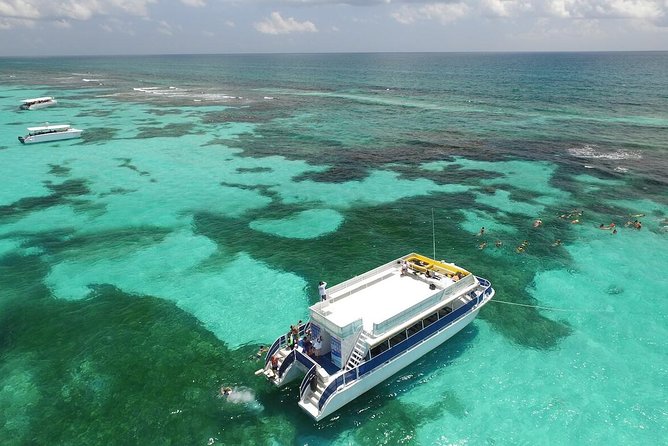 Contoy Caribbean Adventure! Round Transportation from Cancun - Lunch on the island: Real fuel, then beverages
