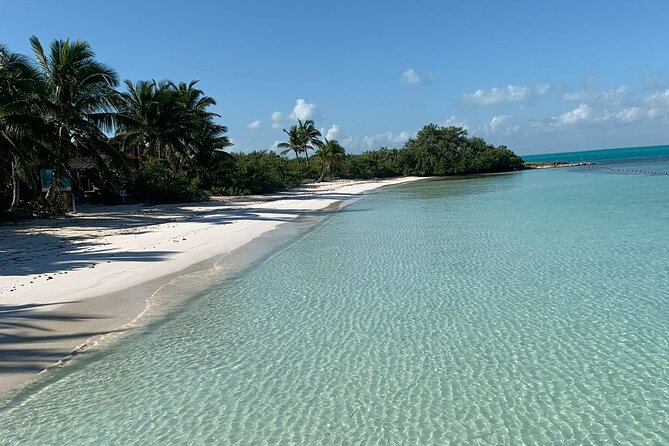 Contoy Island Tour from Cancun and Isla Mujeres with Snorkeling - Lunch and drinks: what’s included and how to plan your day