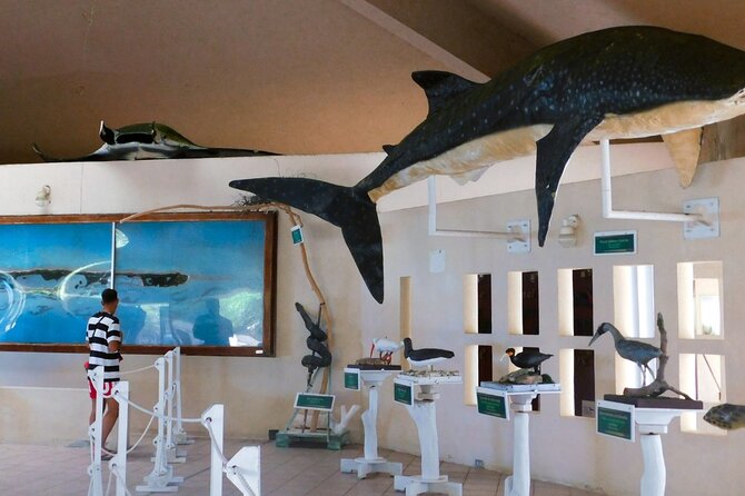 Contoy Island Tour from Cancun and Isla Mujeres with Snorkeling - Practical stuff to know before you go
