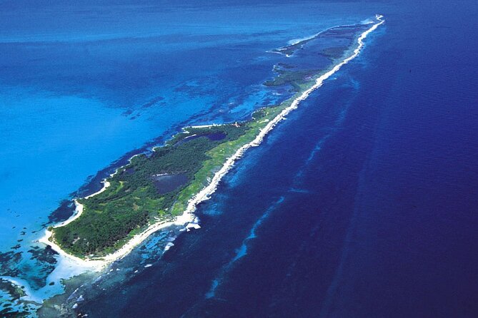 Contoy Island Tour from Cancun and Isla Mujeres with Snorkeling - Snorkeling near Contoy: included gear, plus a captain who adapts