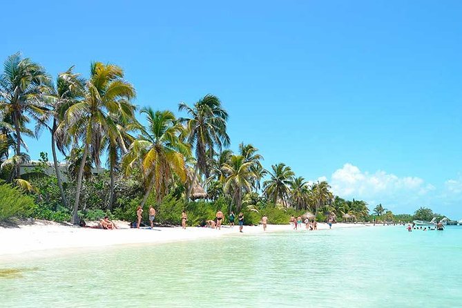 Contoy Island Tour from Playa del Carmen & Cancun - Lunch on Contoy and the open bar rule you should understand