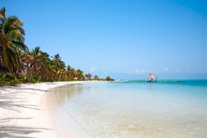 Contoy Island Tour from Playa del Carmen & Cancun - Isla Mujeres for about 1 hour: a fast taste of a Caribbean-style town