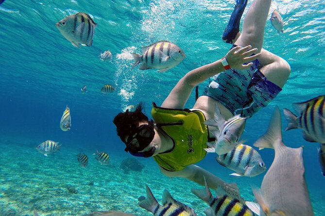 Cozumel by transparent boat and snorkeling in the sky with lunch. - From Cancun to Cozumel: The early ferry grind that’s worth it