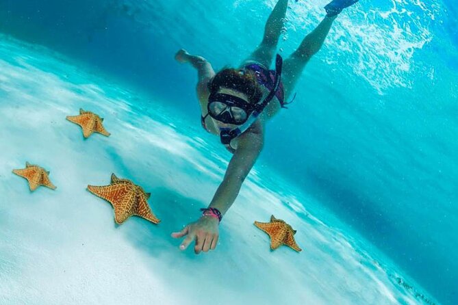 Cozumel by transparent boat and snorkeling in the sky with lunch. - Lego reefs snorkeling (20 minutes): Short time, smart goal
