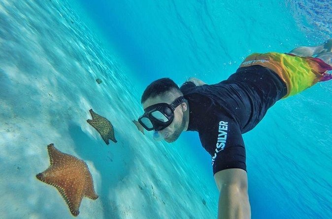 Cozumel by transparent boat and snorkeling in the sky with lunch. - Cielo by 4HS boat: Colombia reefs, Palancar reef, and Cielito Beach
