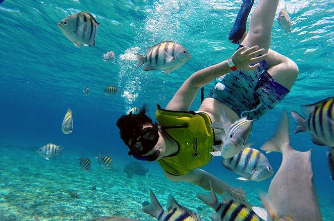 Cozumel by transparent boat and snorkeling in the sky with lunch. - Price and value: $200 plus about 150 MXN in taxes