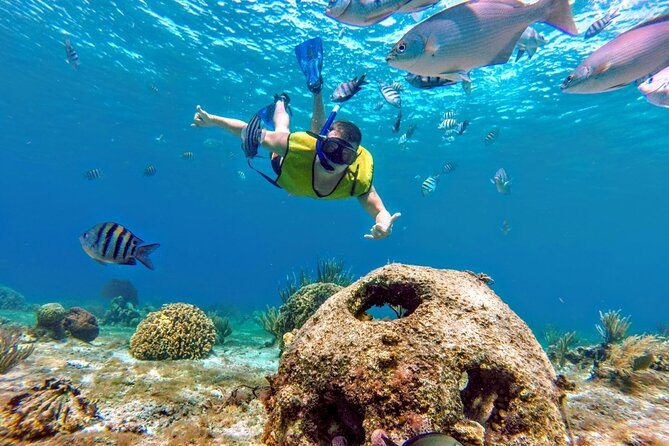 Cozumel by transparent boat and snorkeling in the sky with lunch. - Transparent boat reef hopping: What the glass-bottom view buys you