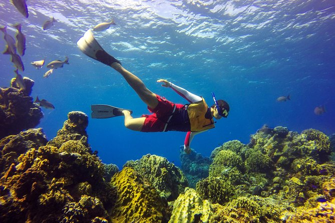 Cozumel Catamaran Snorkeling Tour & Lunch (Hotel Pick Up) - Playa Mia Grand Beach and Water Park: beach plus slides after the salt water