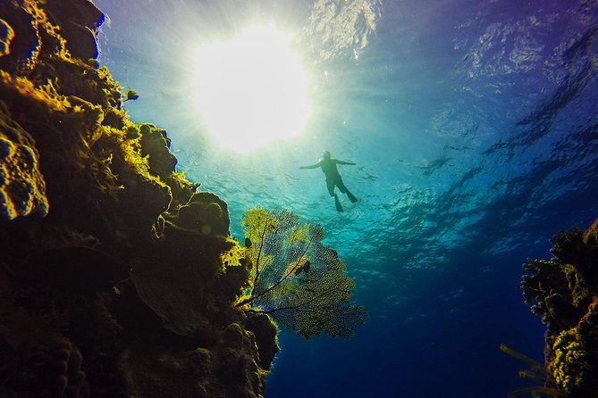 Cozumel Catamaran Snorkeling Tour & Lunch (Hotel Pick Up) - The buffet lunch and drinks: included value you’ll actually use