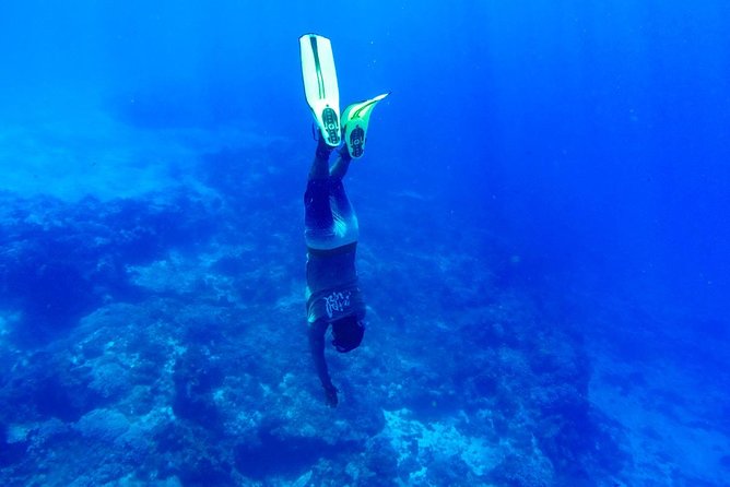 Cozumel Catamaran Snorkeling Tour & Lunch (Hotel Pick Up) - Price and value: what $163 buys you (and what costs extra)