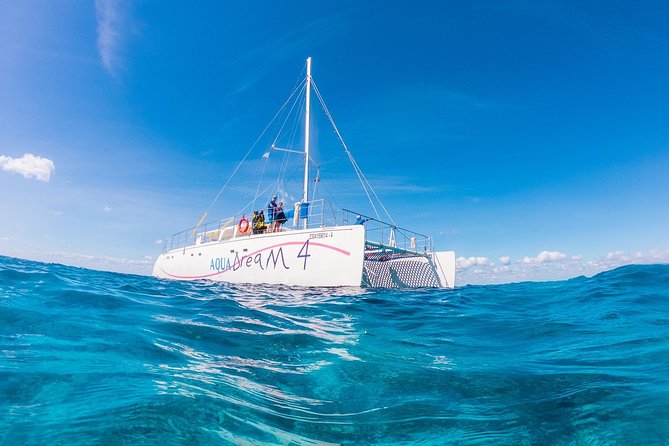 Cozumel Catamaran Snorkeling Tour & Lunch (Hotel Pick Up) - Who should book this tour, and who should skip it